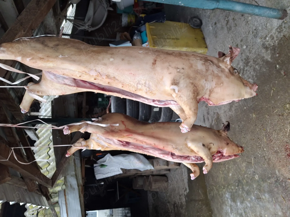 purcei, grasuni carcasa rotisor