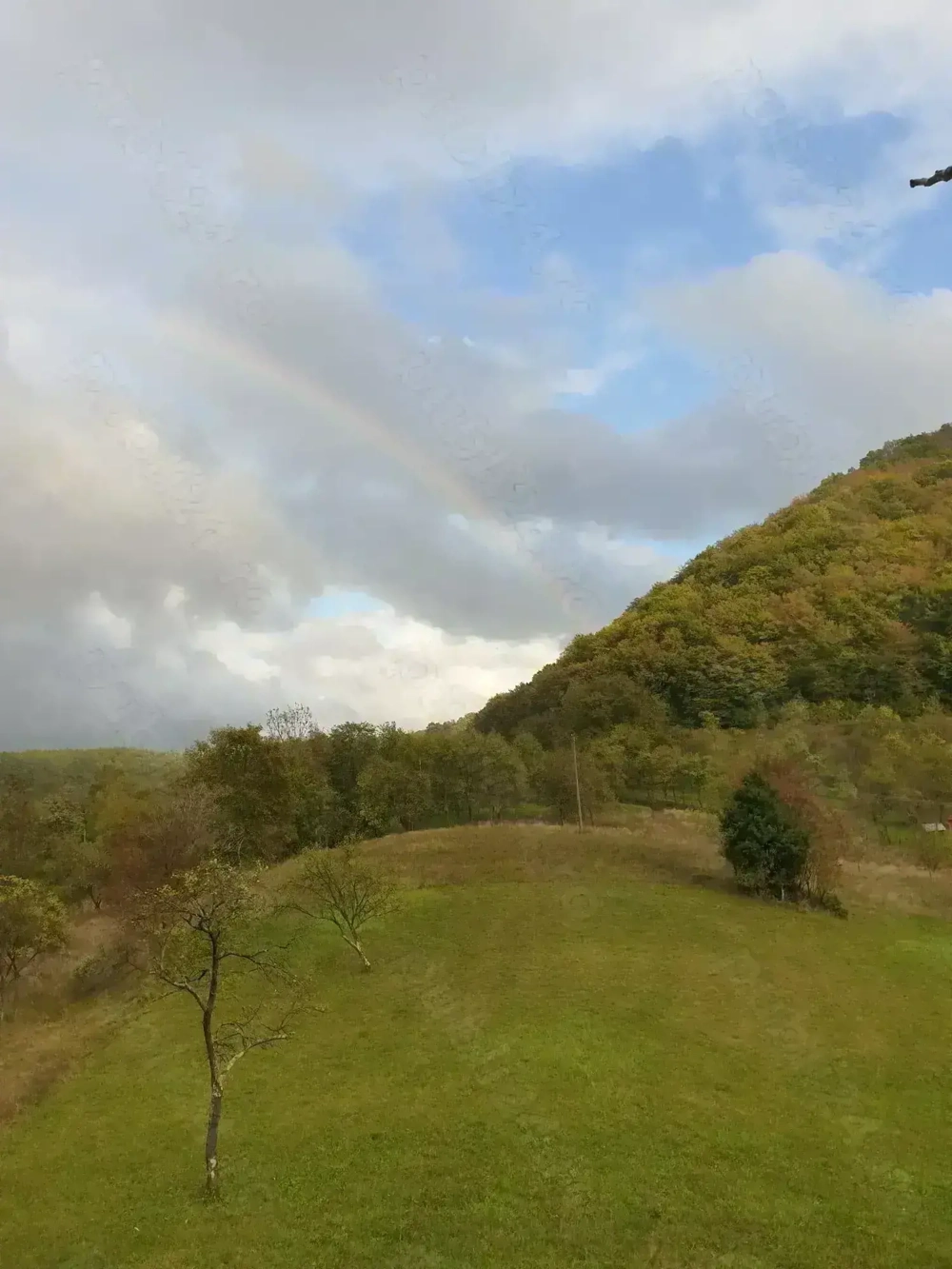 Hărțăgani, Hunedoara, teren intravilan, 8500 m2, acte, pozitie superba, liniste, eco