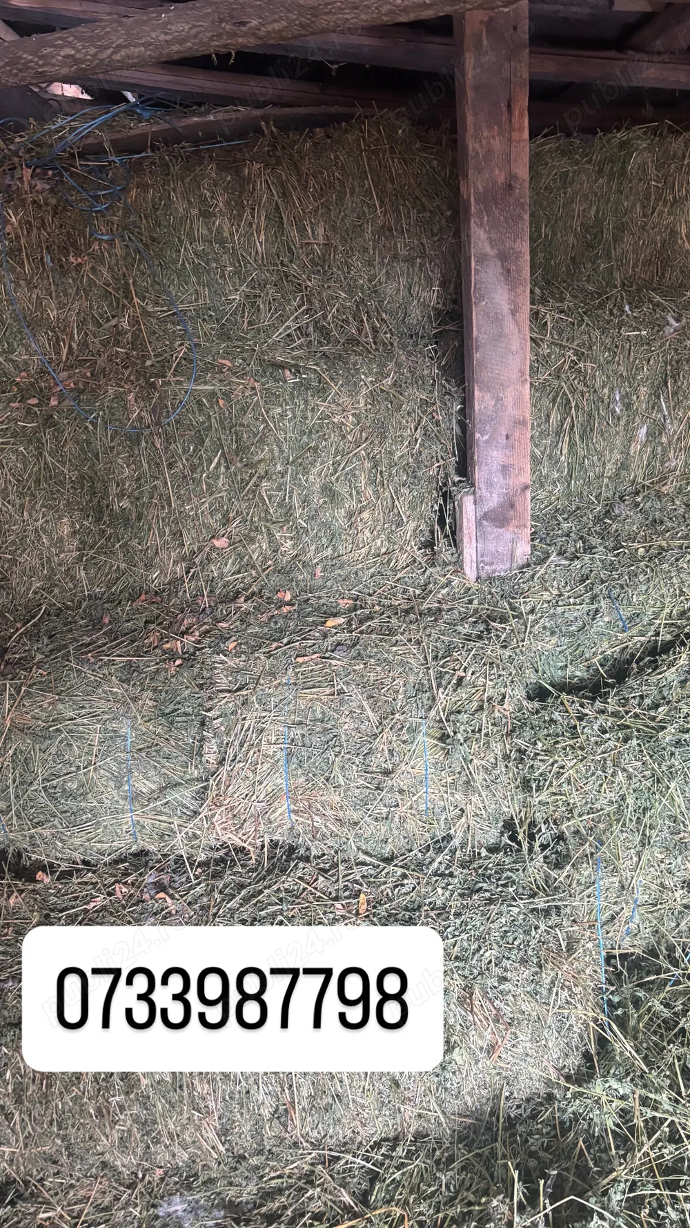 Vând baloți de lucernă 