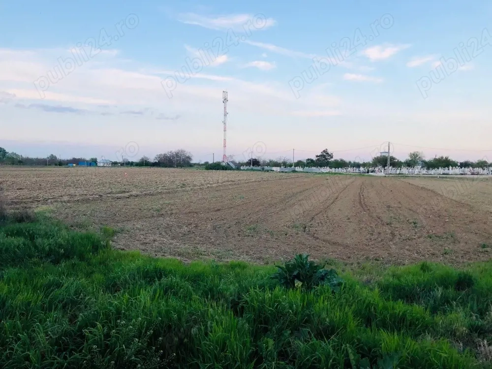  Închiriere teren intravilan   2.500 mp   Gologanu, jud. Vrancea