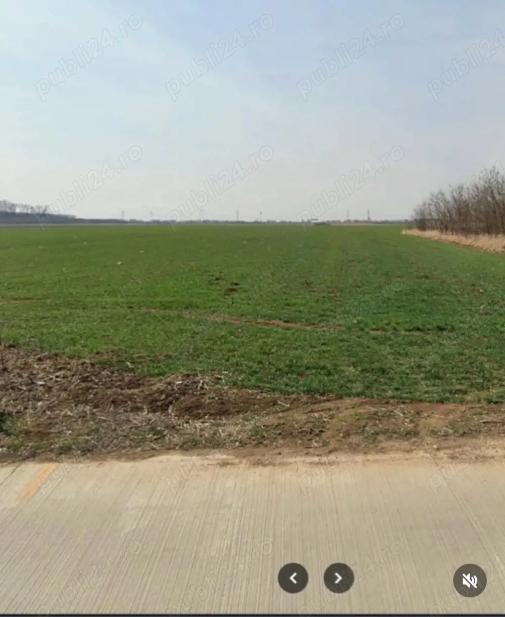 Teren intravilan Chiajna 