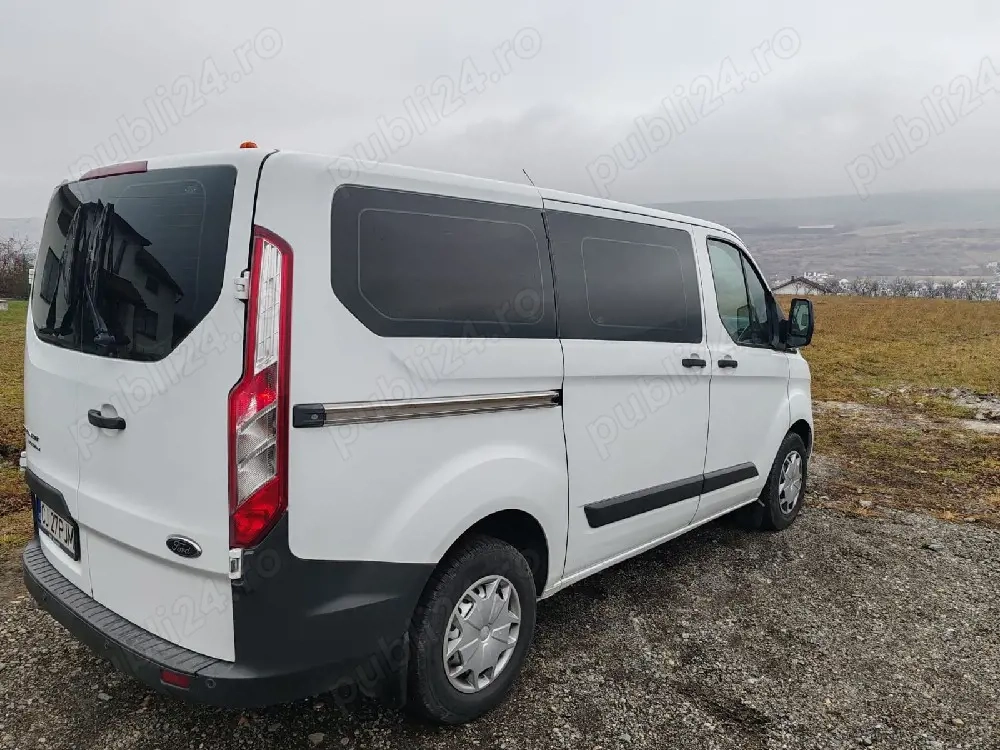 vand Ford Custom 2015