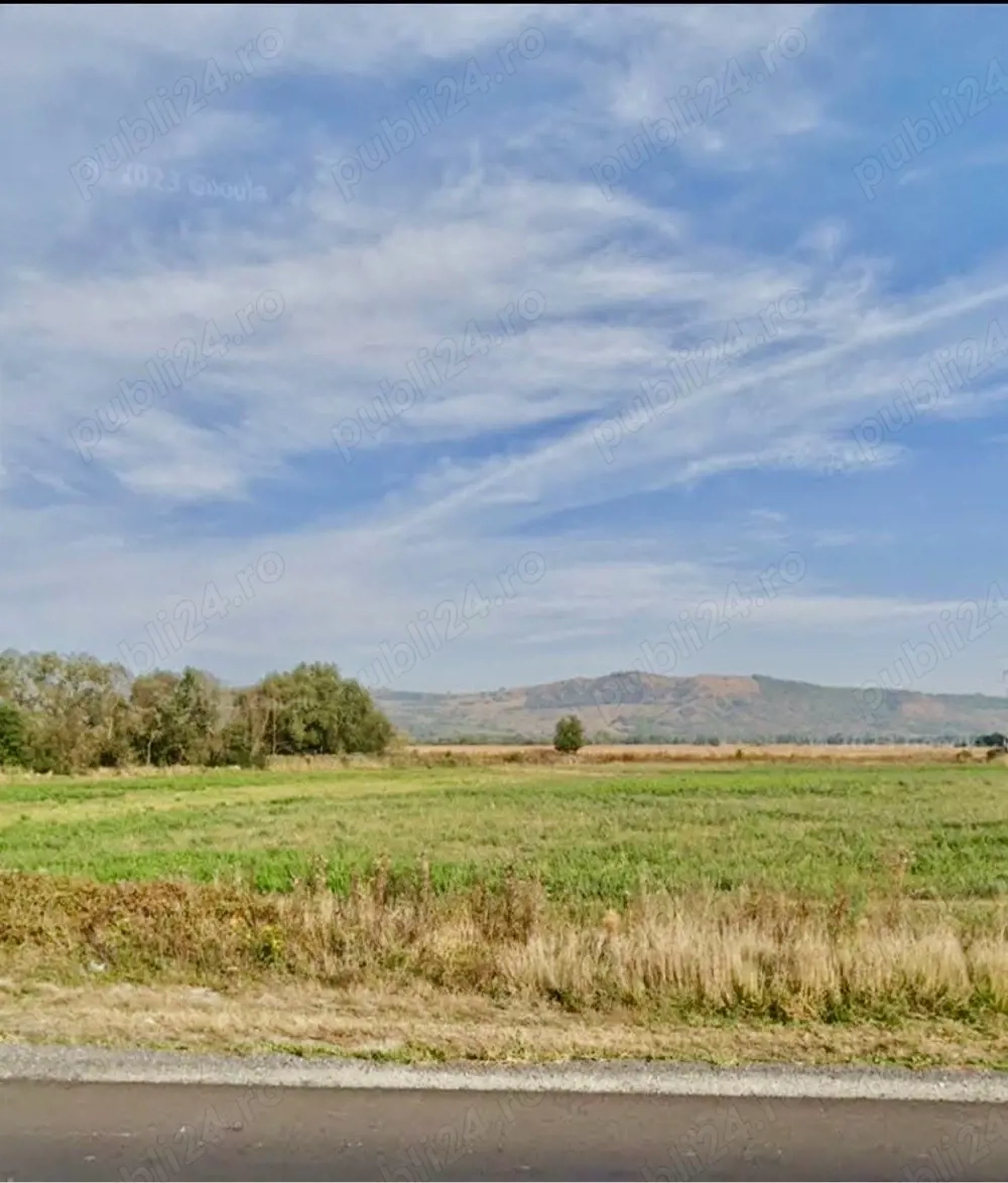 Teren Dridif - lângă DN1