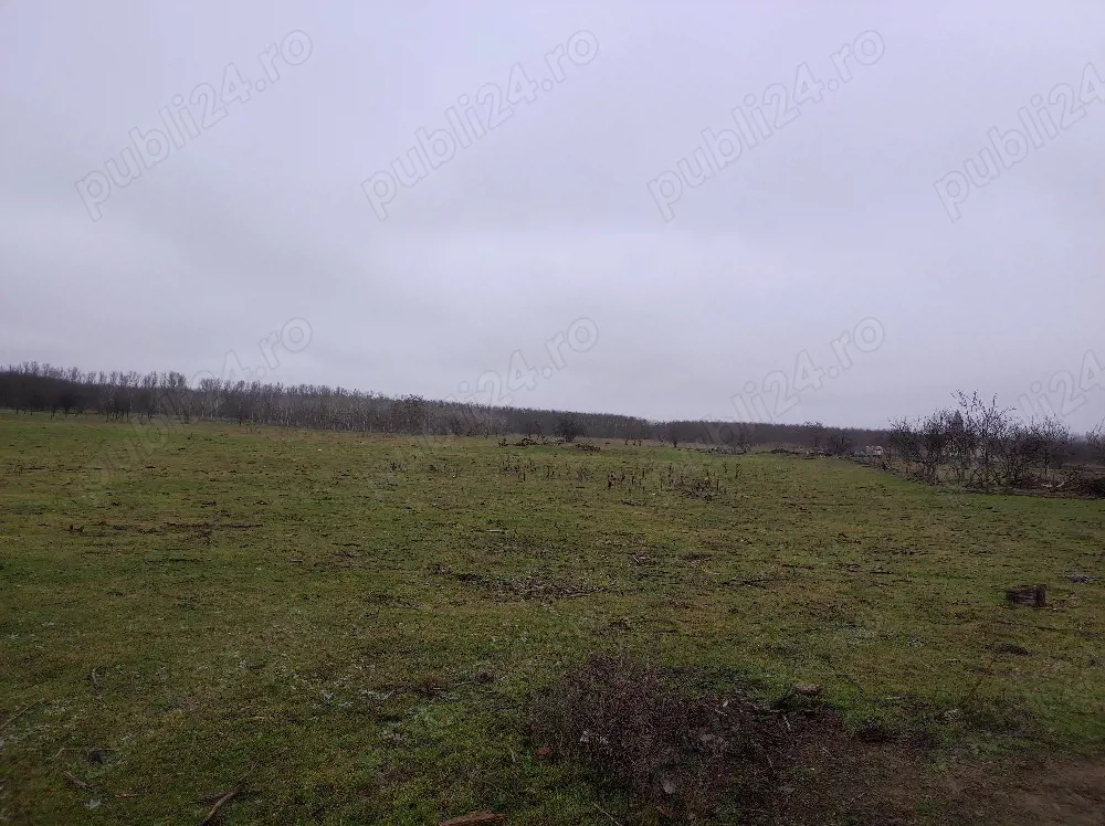 Teren Intravilan Baltenii de jos