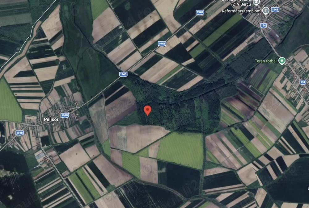 Anunt vanzare   padure 1 ha, pelisor (lazuri), jud. satu mare