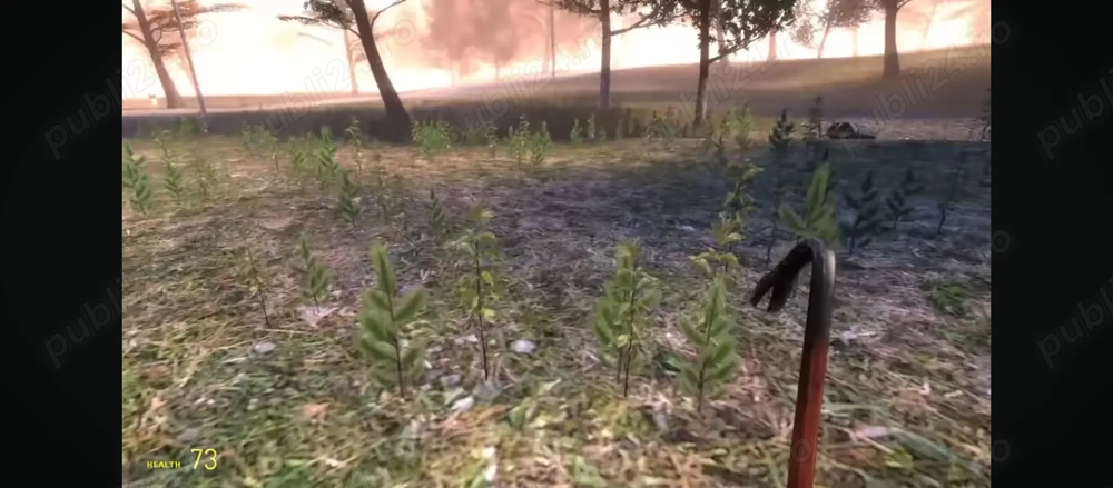 Amenajări interioare 