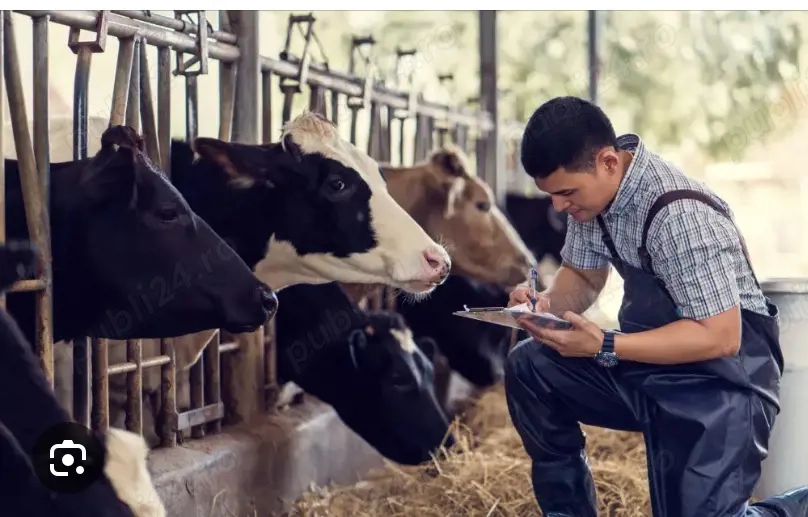 Locuri de muncă în Elveția -Fermă  privata de animale 