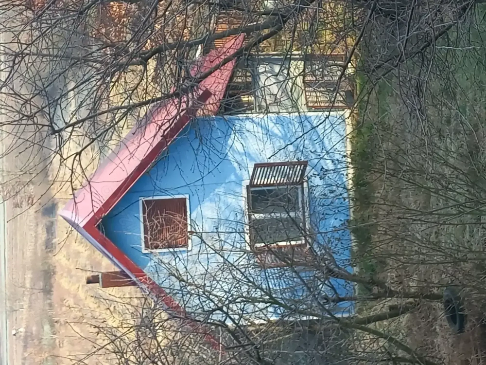 Vând vilă, căsuța și teren în Coltau 