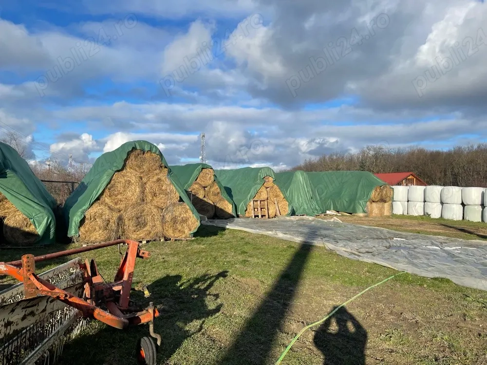 Baloți de calitate in Botosani de fan si semifan din lucerna în  agricultură ecologică sau schimb