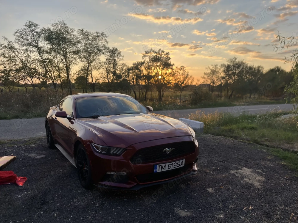 Ford mustang v6 3.7