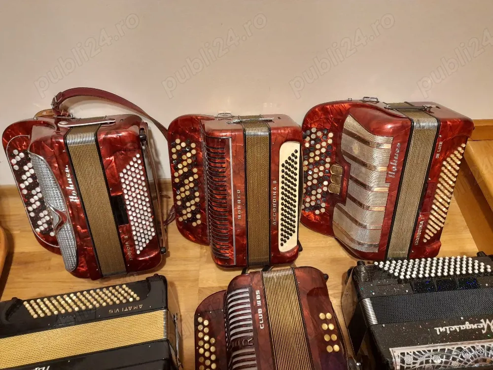 Acordeon Armonica Harmonica cu butoane