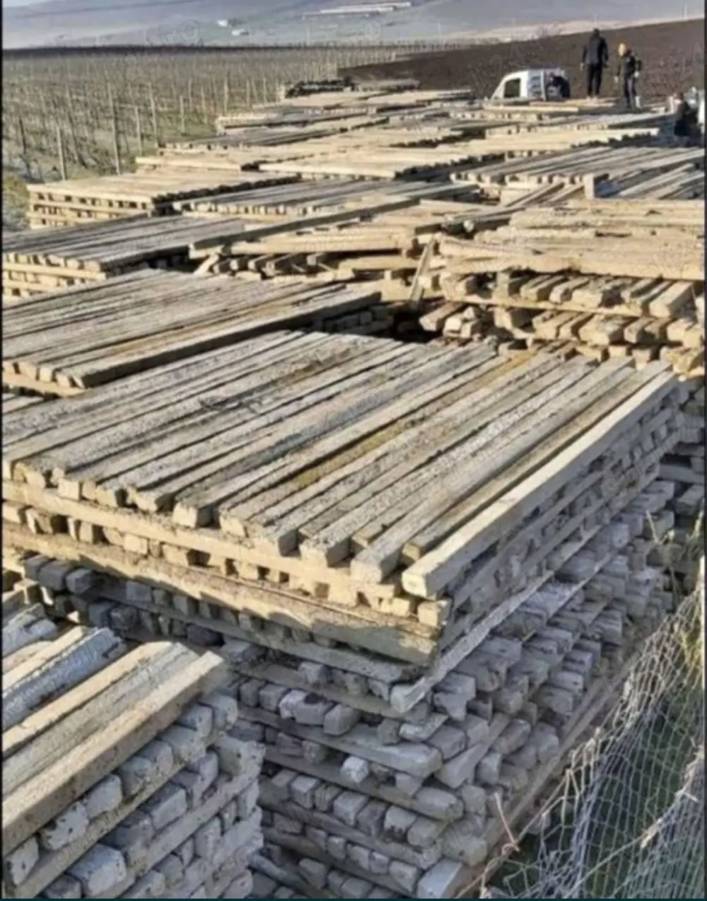 spalieri pentru vie si gard 