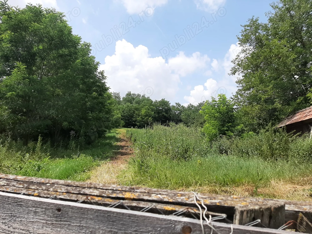 Teren intravilan de vanzare