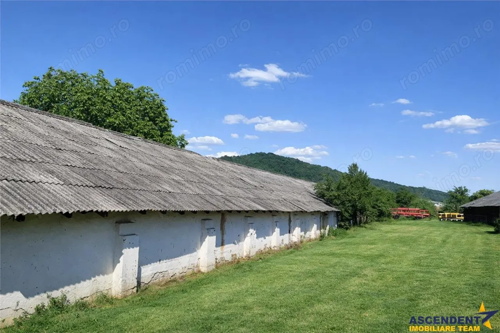 Spatiu comercial Industrial multifunctional: productie, depozitare, logistica, Raciu, Mures