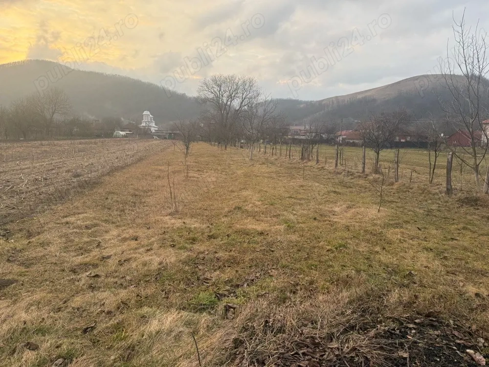 vand teren intravilan in subcetate comuna santamarie orlea 