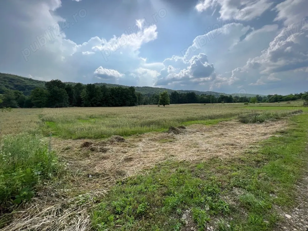 TEREN de vanzare Draganu