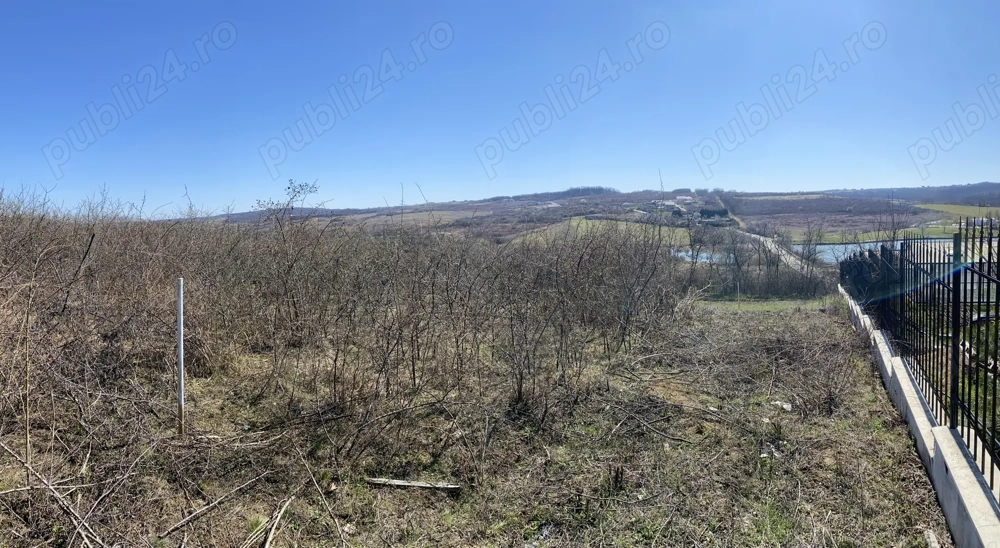 Teren extravilan Paleu