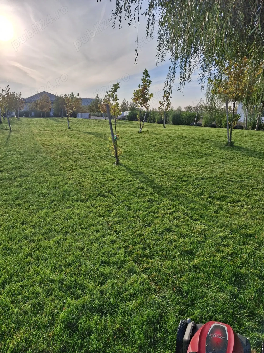 Intretineri spatii verzi