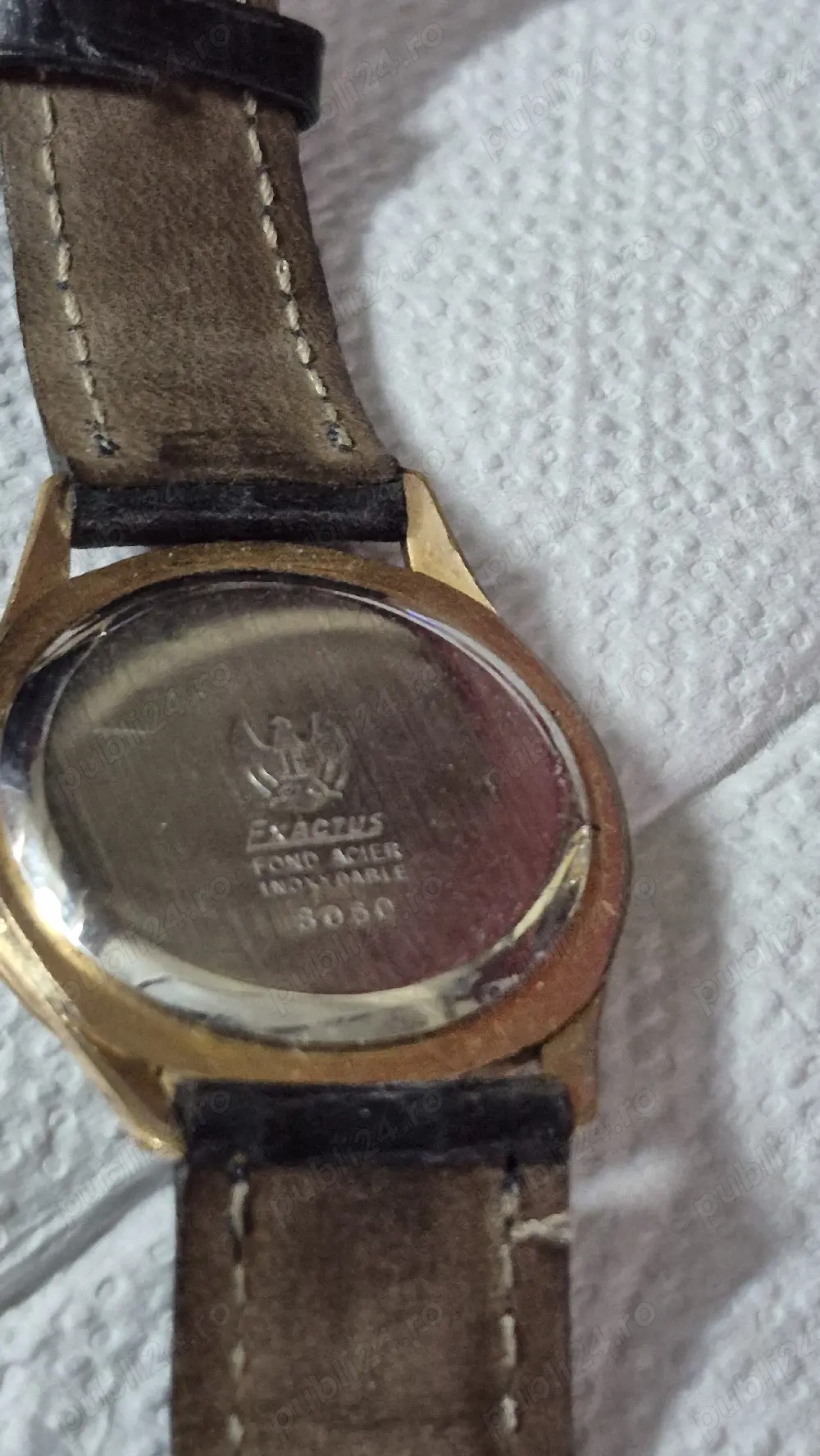 Exactus 17 rubine Swiss 