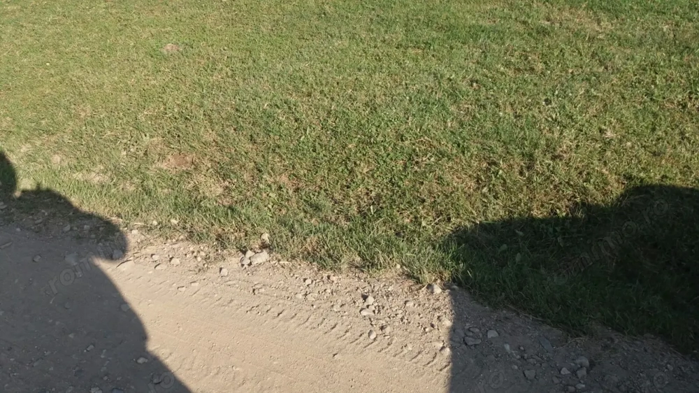 Teren Intravilan de vanzare 533mp in Oarda utilitati