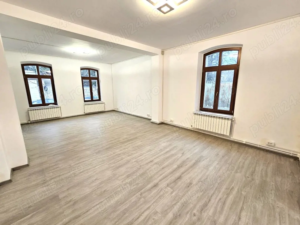 Pietonal Stefan cel Mare, spatiu pentru servicii