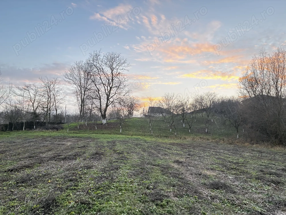 Teren 2.000 - 3.000 mp Movila-Niculești | 2 km de National Golf Romania