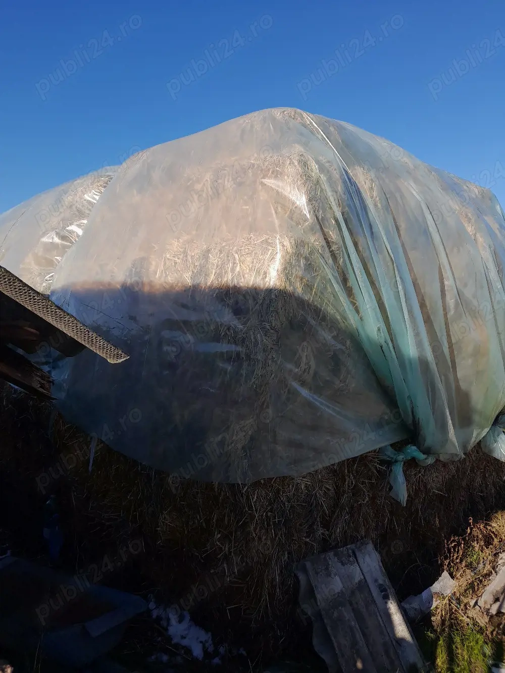 vand baloti de ovaz cosit