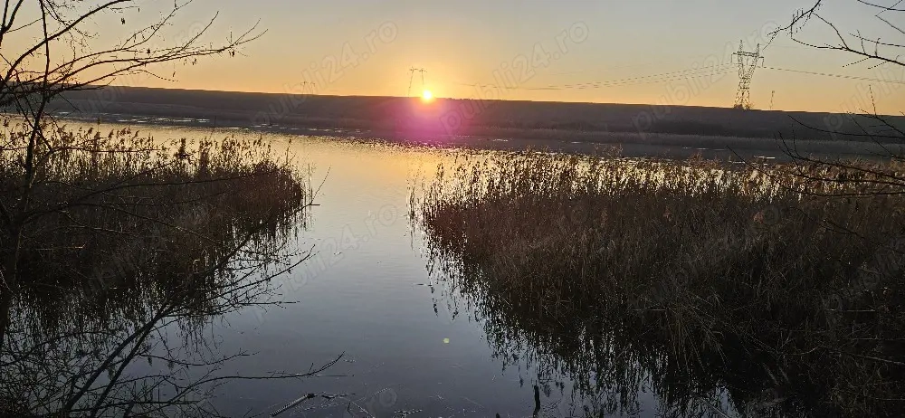 teren intravilan TRIFEȘTI 