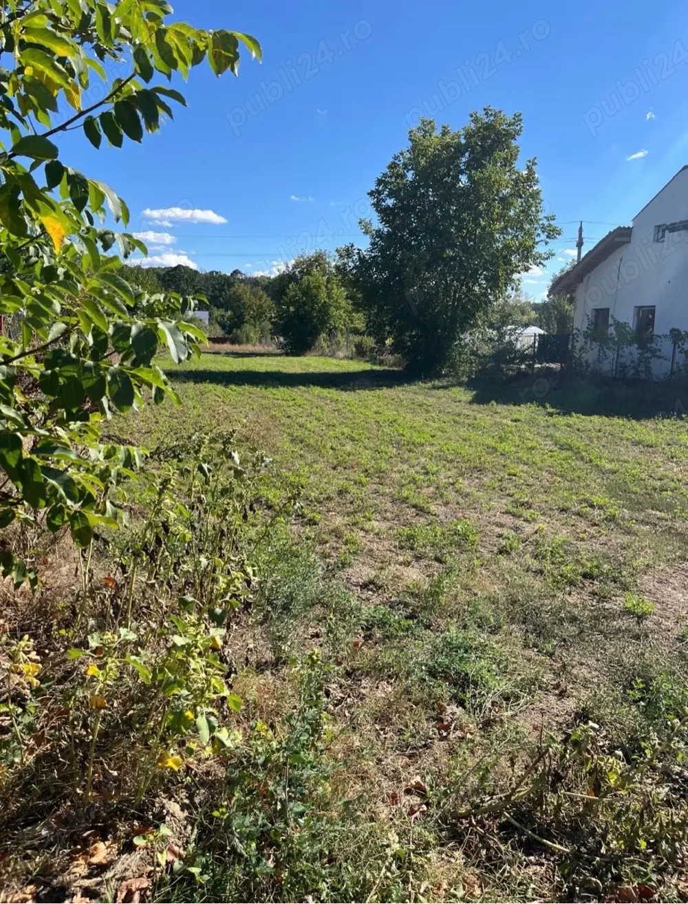 Teren de vânzare 1000mp Zona Astoria, Snagov