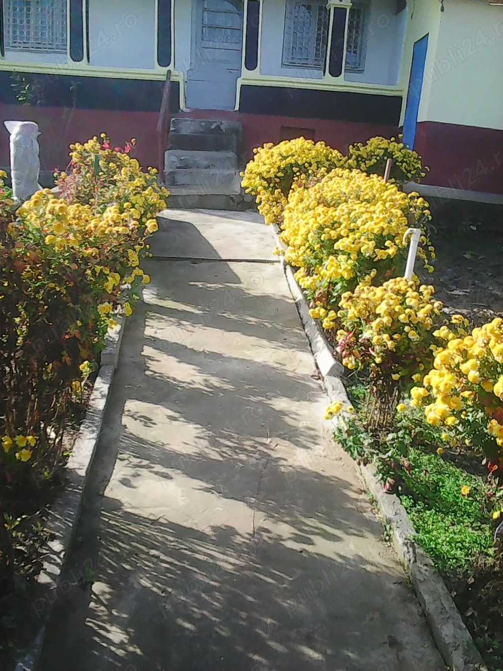 Casa la tara (Raristea , langa Sf.Andrei)