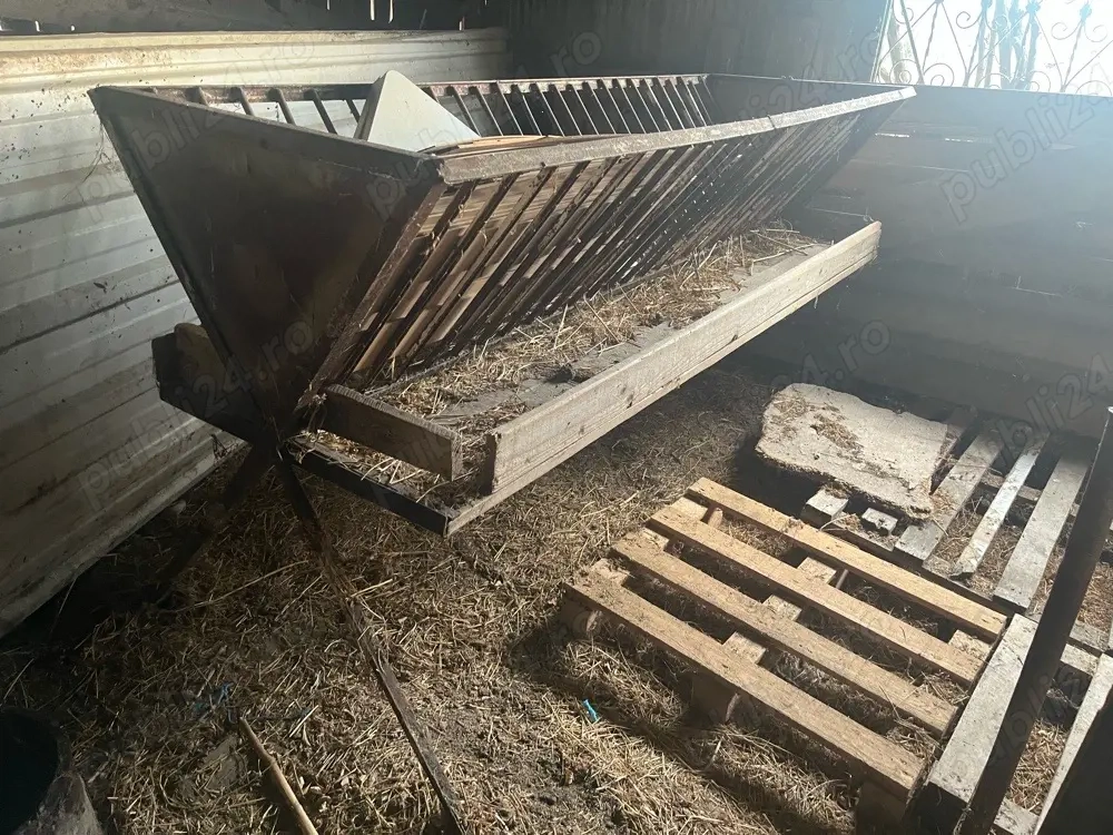 vand scari pentru oi