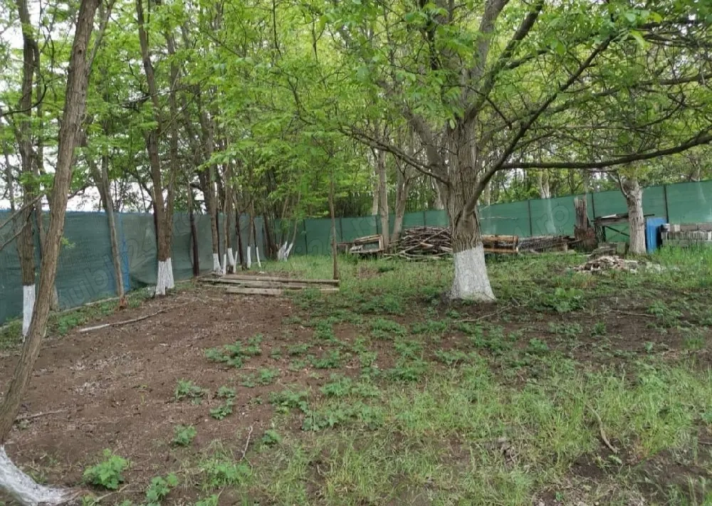 Teren intravilan Cazasu 