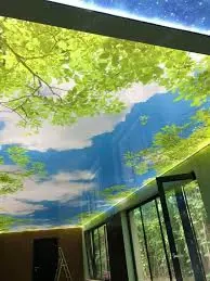 tavanele extensibile 