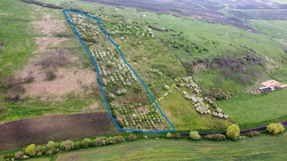 De vânzare livadă cu cabană de lemn