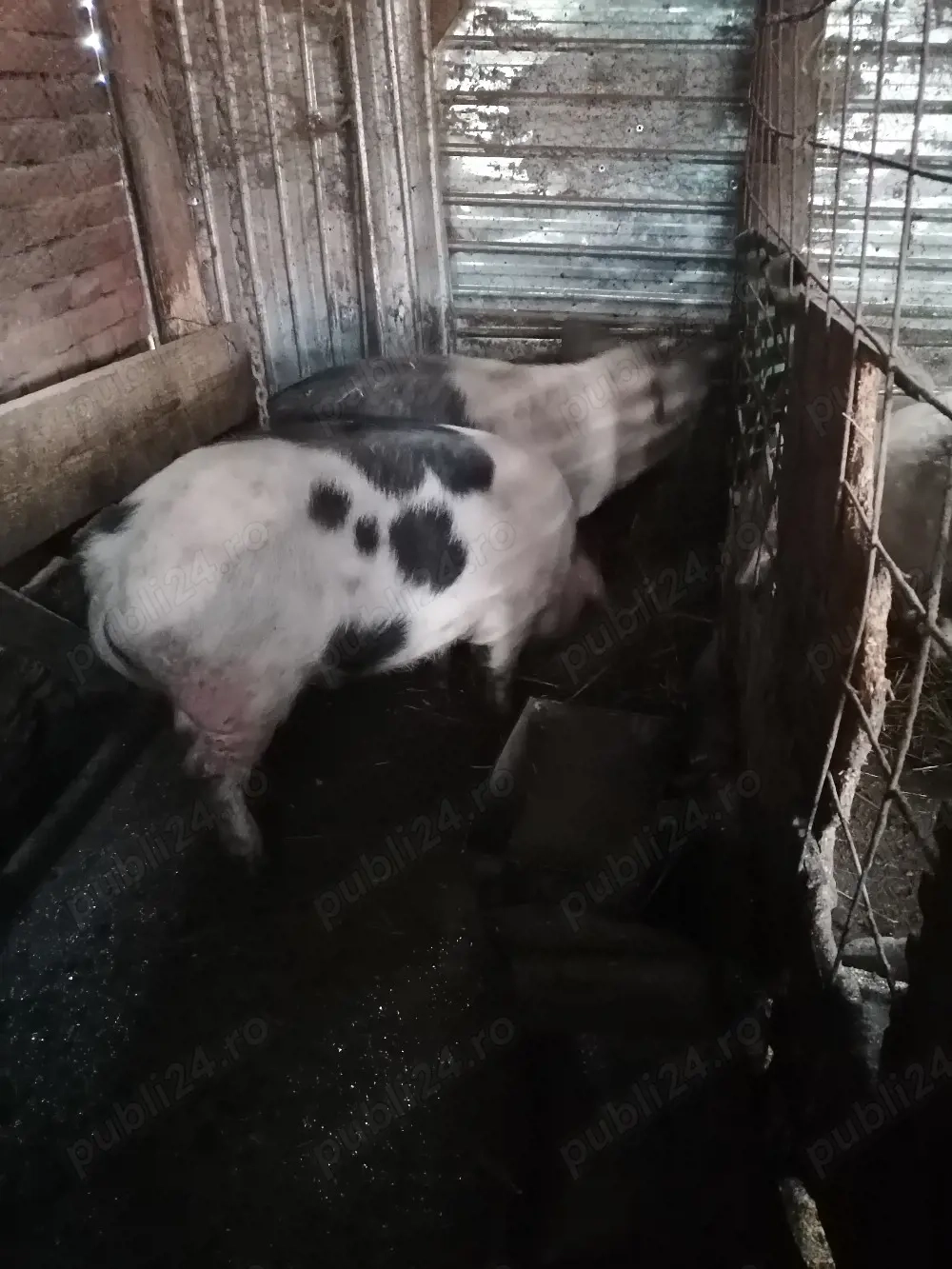 Vor să schimbe locația 