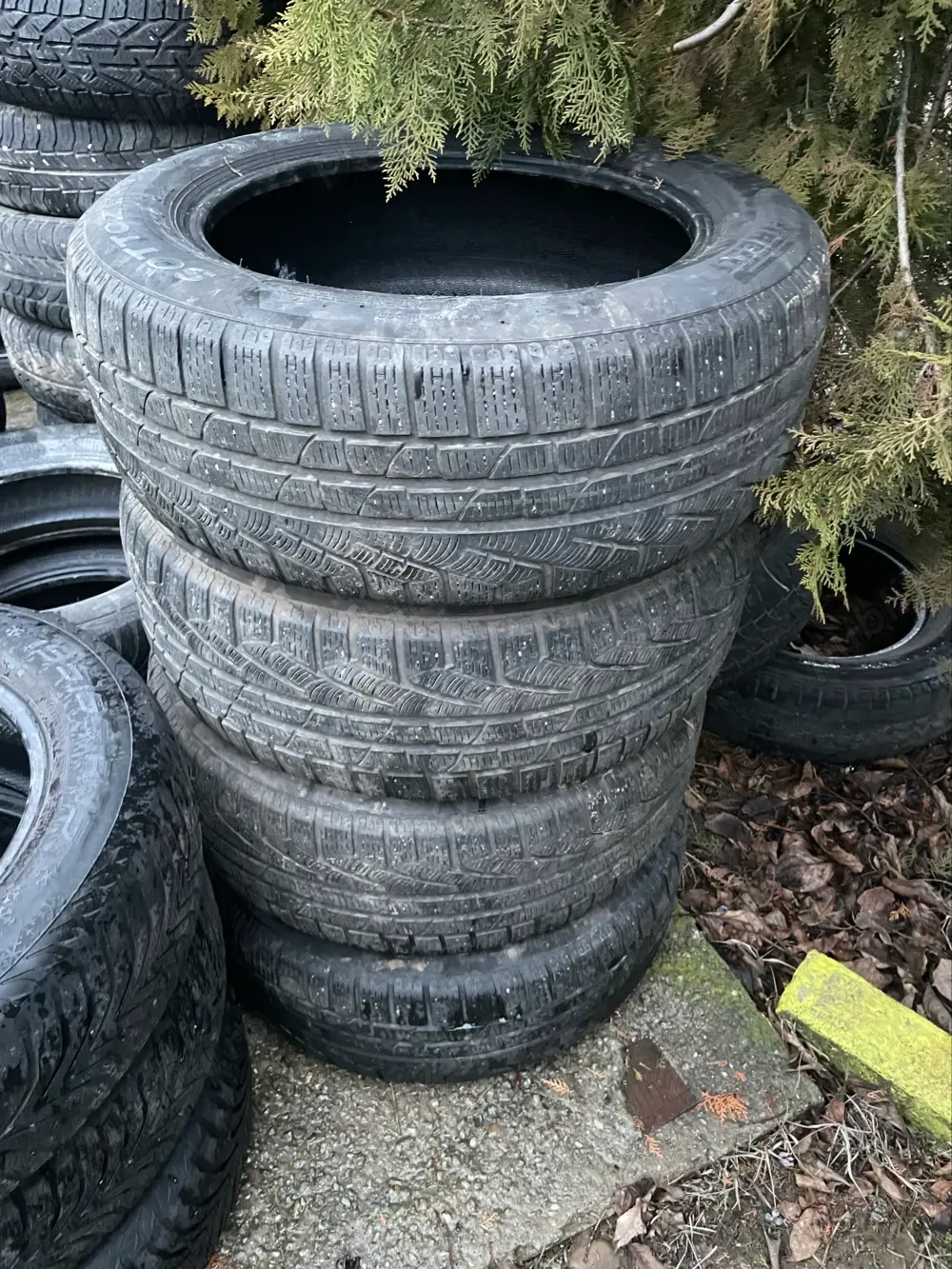 Anvelope Germania iarna/vara