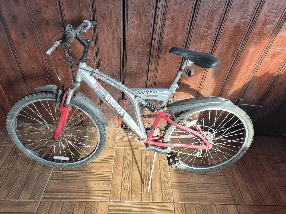 Diferite biciclete aduse din Olanda 