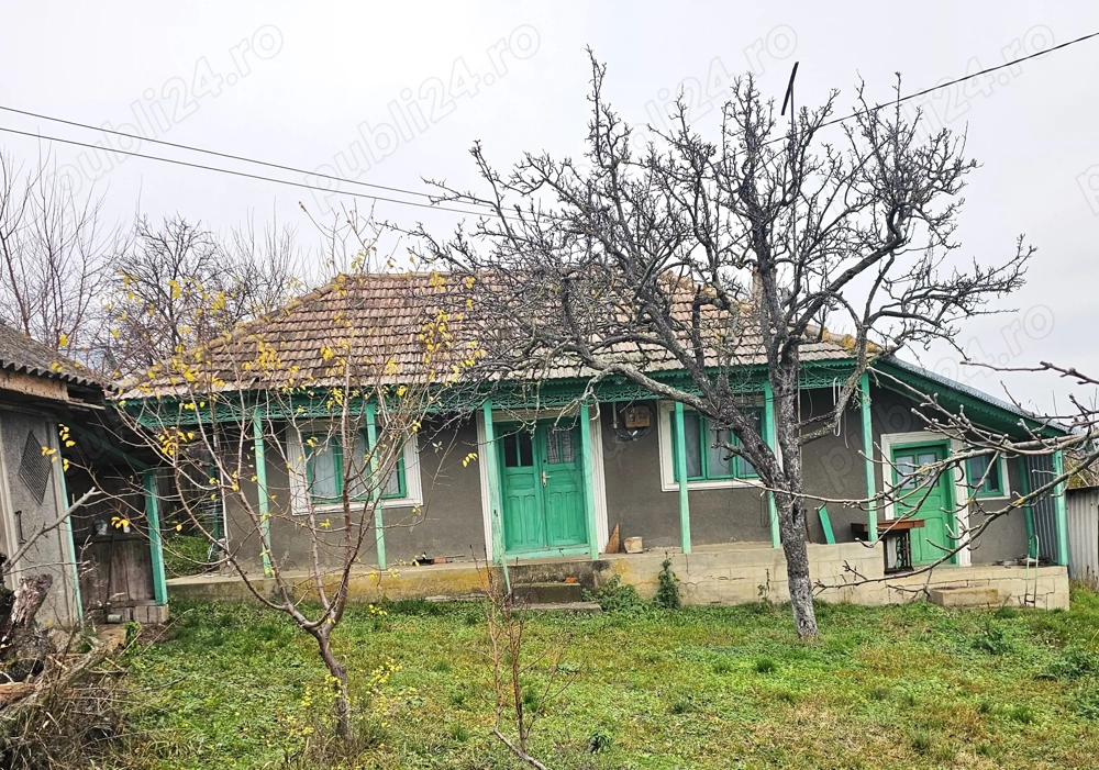 Casa + teren generos 5000 mp intravilan cu livada tanara  si vita de vie productiva.