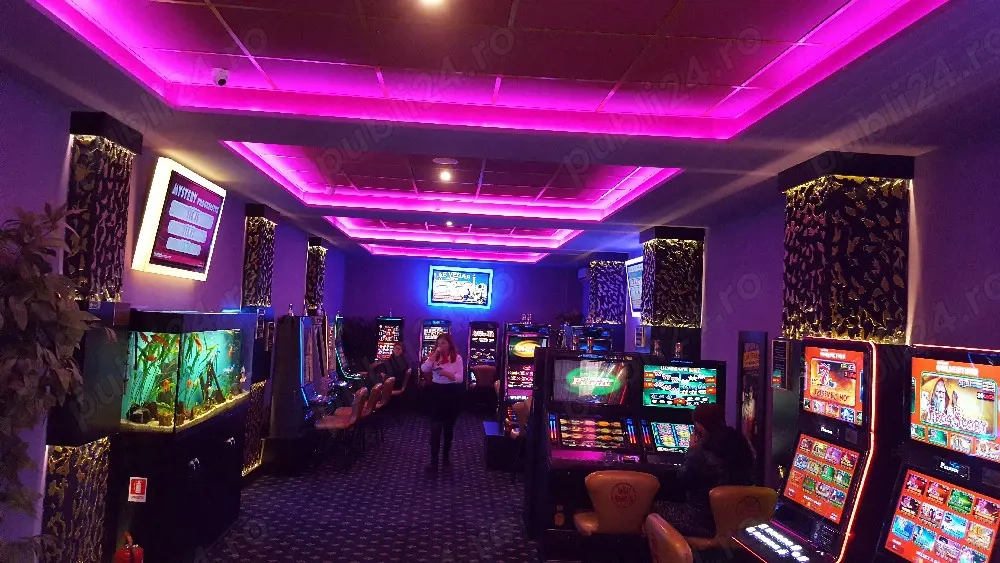 montator gispscarton ( rigips)