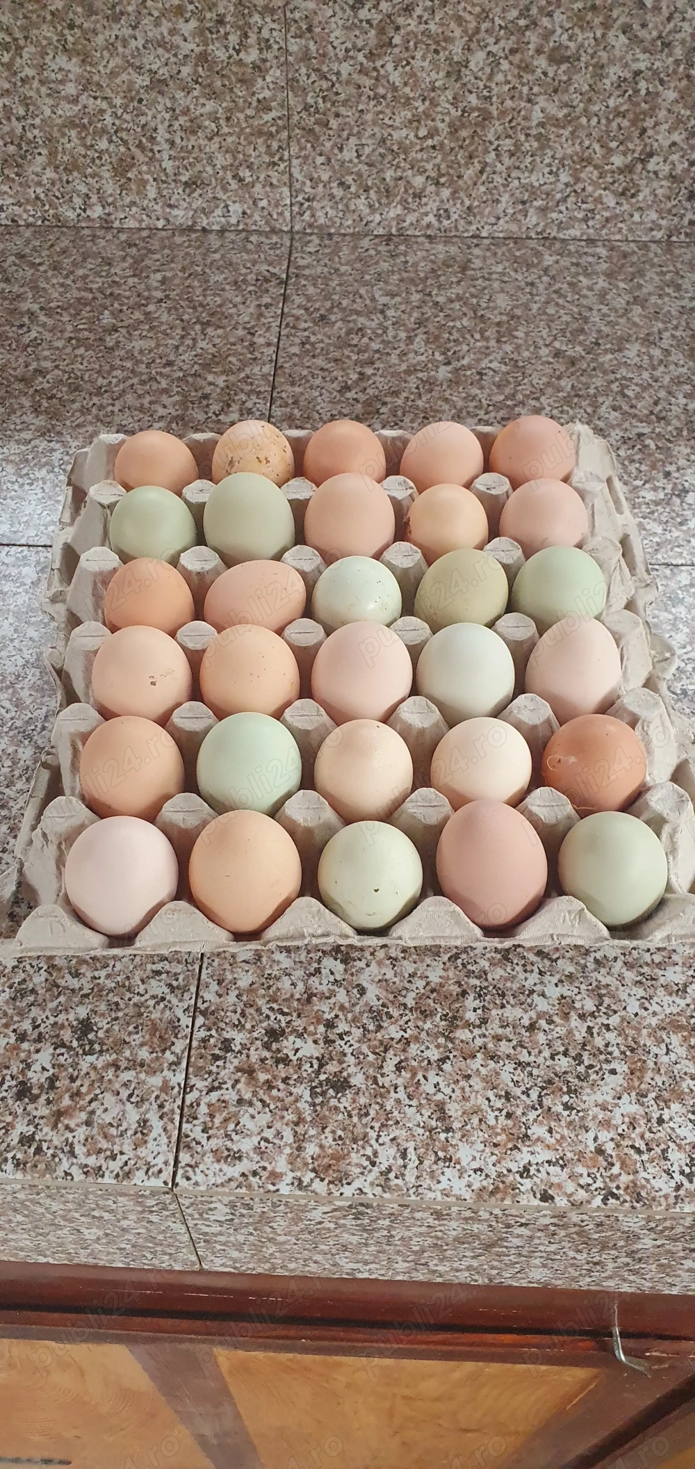 Ouă de gaina pentru incubat