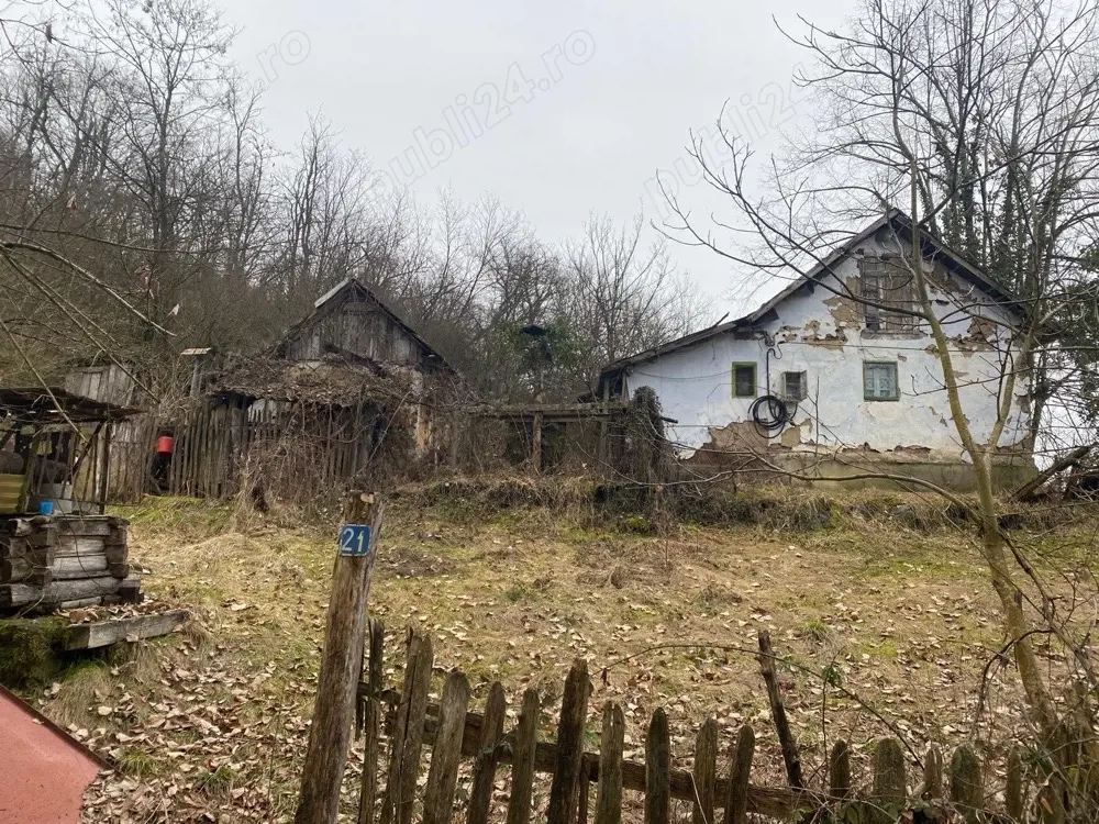 Vând teren intravilan 540 m  + curent și apă   Hălăliș