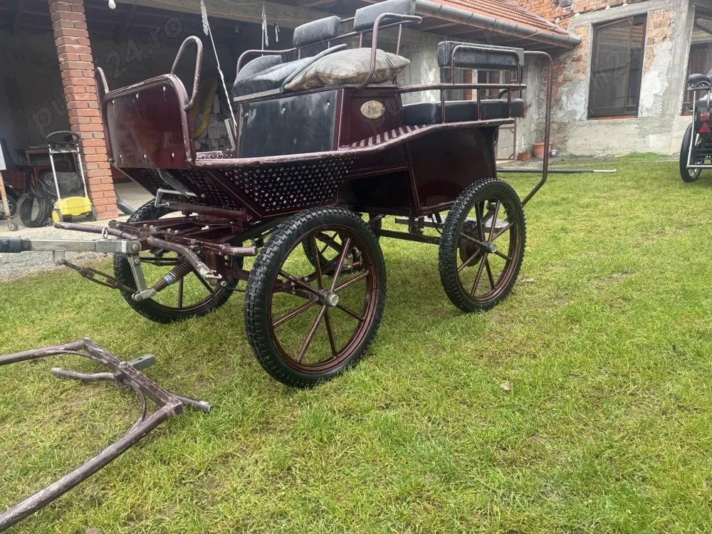 Vand trasura maraton 