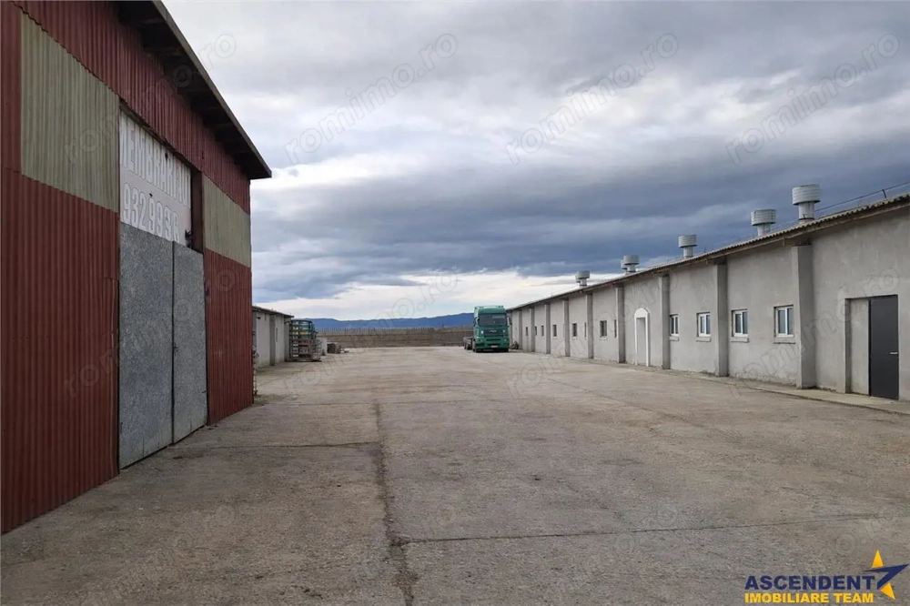 Hala industriala versatila,spatii cazare, platforma betonata,2.300 mp,Halchiu