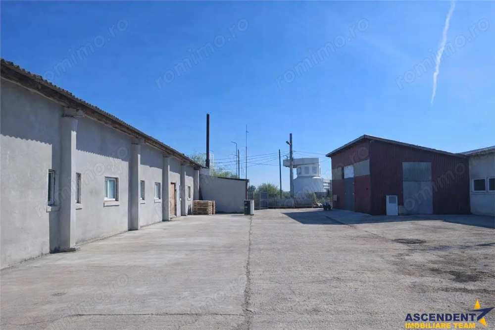 Hala industriala versatila,spatii cazare, platforma betonata,Halchiu,Brasov