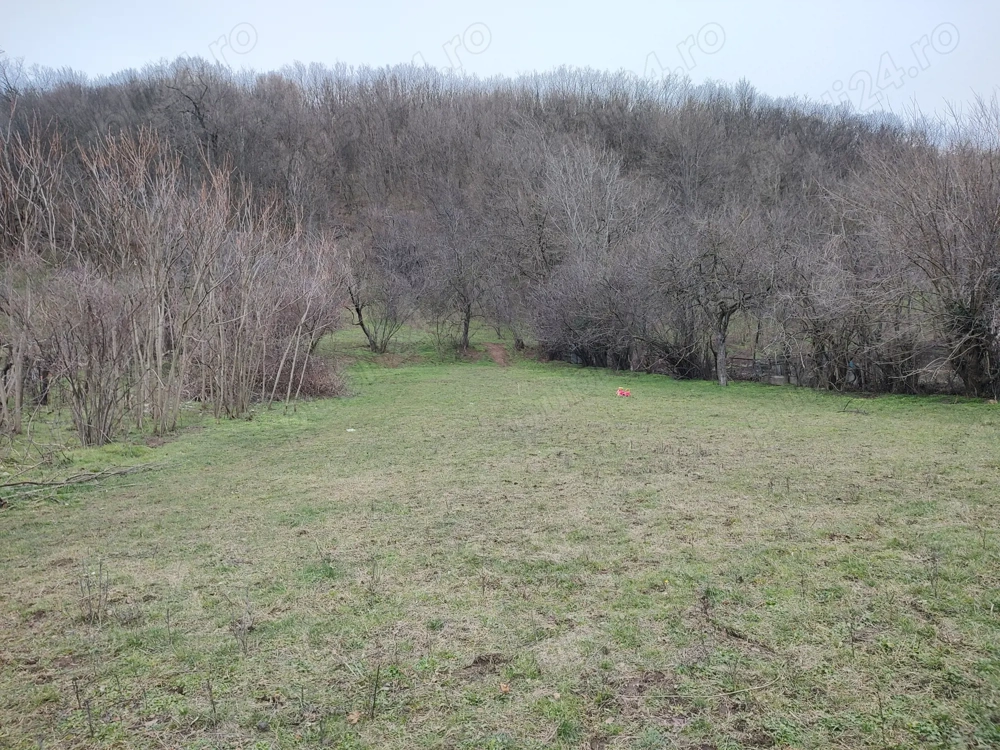 Vand casa Ciclova-Romana