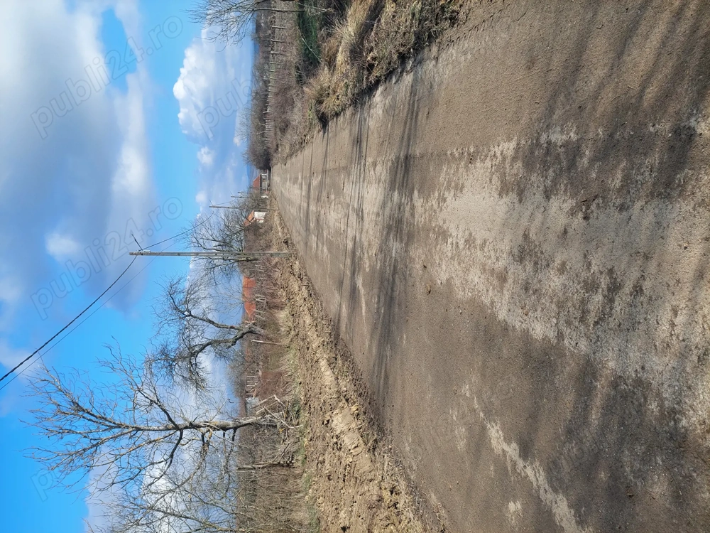 Teren intravilan de vănzare  FÎRLIUG 