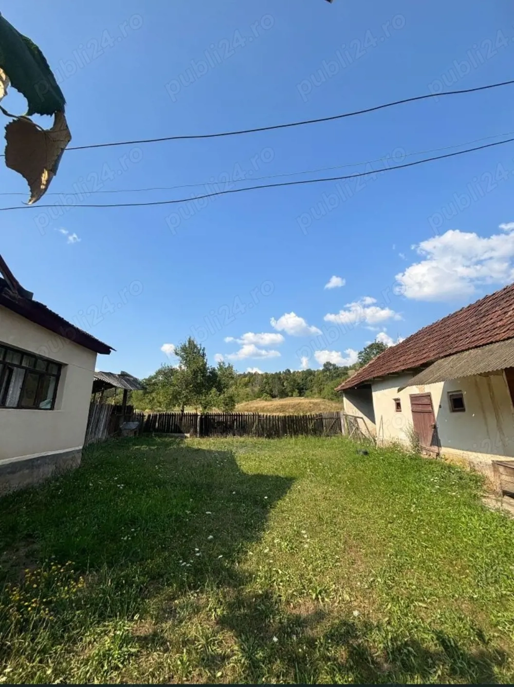 Teren generos de 3000 mp- Grosi, Bihor