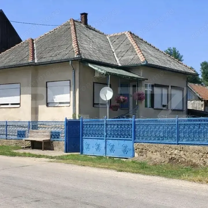 Casă țărănească cu 242 mp utili și teren de 1315 mp, Mănăstireni