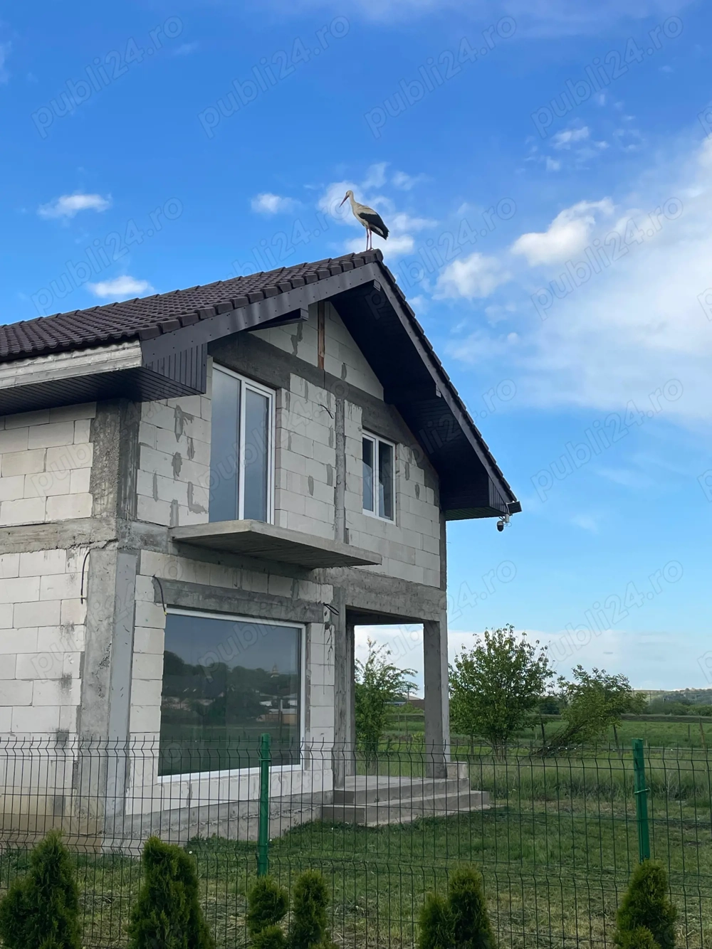 Casa p+m Blaj Costache Negri