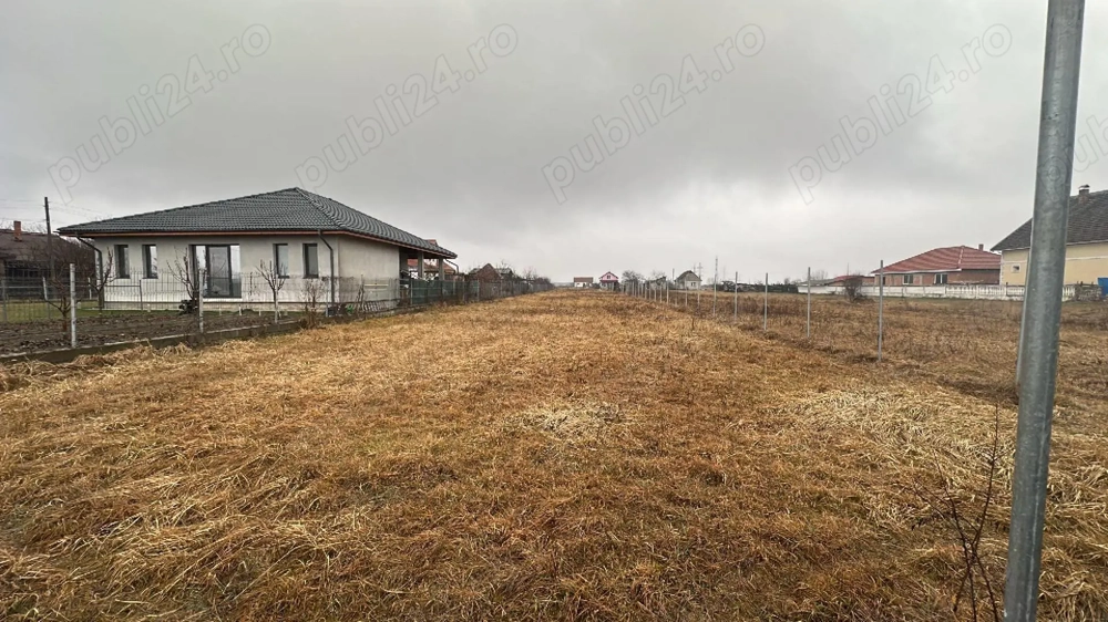 Teren intravilan Balta Blonda